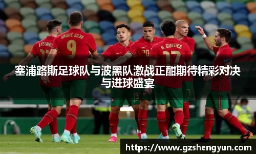 塞浦路斯足球队与波黑队激战正酣期待精彩对决与进球盛宴
