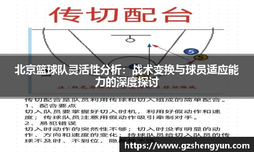 k1体育网页版