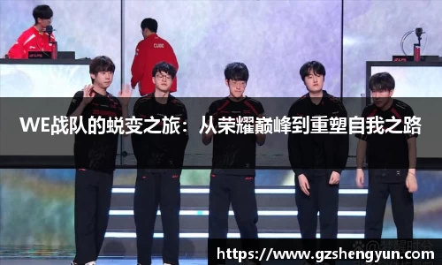WE战队的蜕变之旅：从荣耀巅峰到重塑自我之路