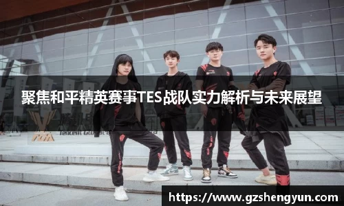 聚焦和平精英赛事TES战队实力解析与未来展望