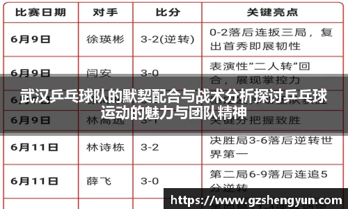 武汉乒乓球队的默契配合与战术分析探讨乒乓球运动的魅力与团队精神
